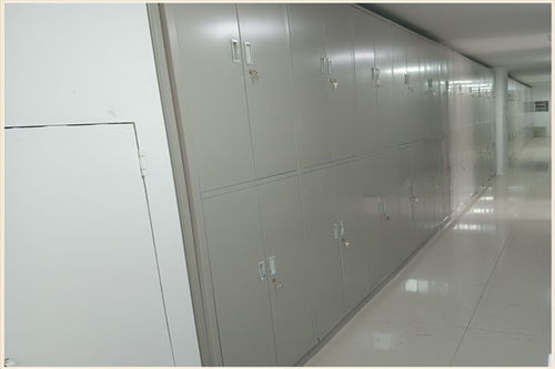 眉山手動(dòng)型密集柜 廠子