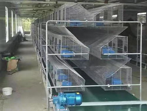 福清子母兔子籠批發 云蒙湖籠具廠歐式兔籠與鞋帽批發的跨界商機